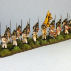 Napoleonic Austrian Grenadiers